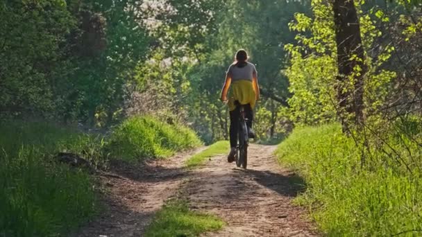 Giovane donna in bicicletta lungo il sentiero verde della foresta nella giornata estiva soleggiata — Video Stock