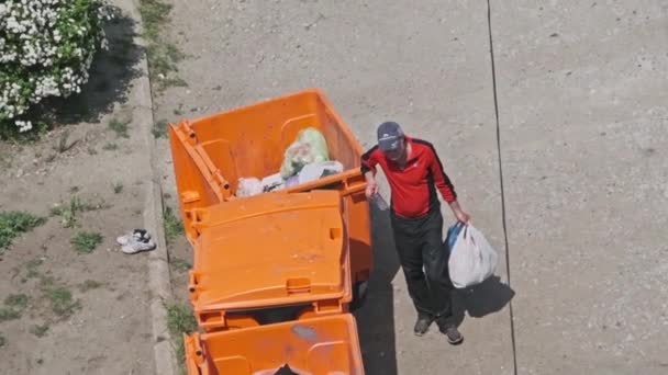 Bezdomny kopie w koszu na śmieci na ulicy — Wideo stockowe