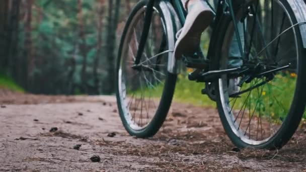 Женщина Велосипеде Едет Лесной Дорожке Между Зелеными Деревьями Сельском Парке — стоковое видео