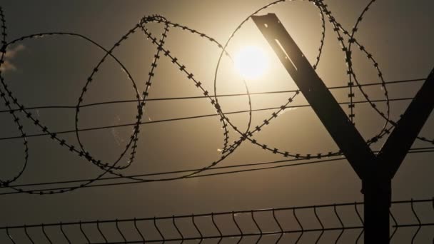 Barbed Wire Fence Sunset Setting Sun Shines Razor Wire Top — Stock Video