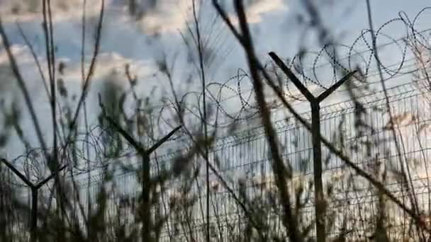 Prikkeldraad Het Hek Tegen Zonsondergang Bottom View Ondergaande Zon Schijnt — Stockvideo