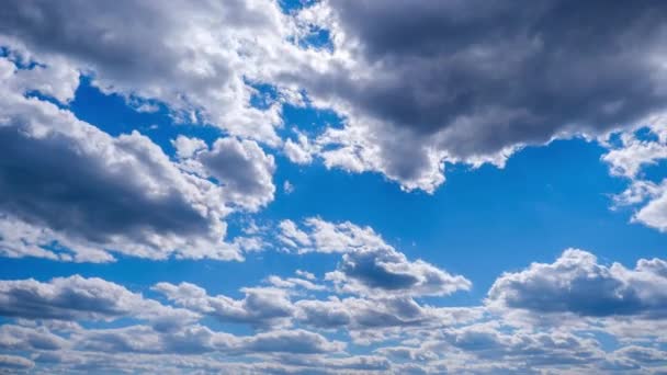 Timelapse Chmur Cumulus Poruszających Się Niebieskim Niebie Chmury Świetlne Zmieniają — Wideo stockowe