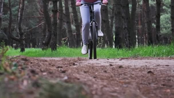 Giovane Donna Bicicletta Lungo Sentiero Forestale Nella Giornata Estiva Rallentatore — Video Stock