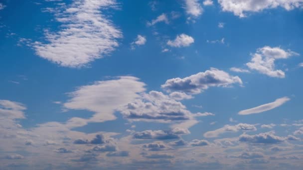Nuvens Brancas Movem Dissolvem Céu Azul Timelapse Nuvens Cirros Macios — Vídeo de Stock