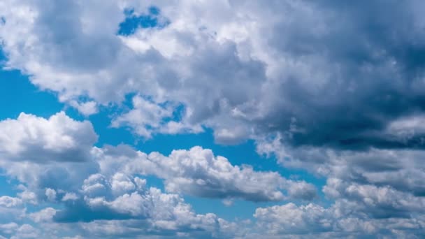 Timelapse Chmur Cumulus Poruszających Się Niebieskim Niebie Puszyste Chmury Zmieniają — Wideo stockowe