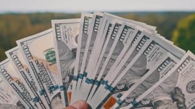 Erkek eller, yeşil doğanın arka planına karşı bir yelpaze gibi yeni dolarları gösteriyor. Genç adam elinde bir sürü 100 dolarlık banknot tutuyor. Açık hava banknotları yığını. Kâr kavramı, kağıt para biriktirme