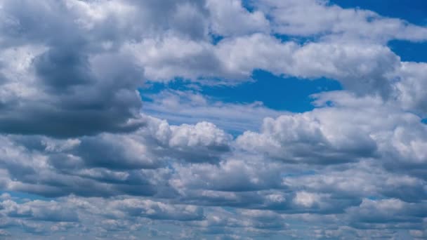積雲の時間経過は 青空に移動します 光の層状の雲は雲の空間で形を変える 素晴らしい空だ 雲の背景 時間の経過 コピースペース 天候の変化 — ストック動画