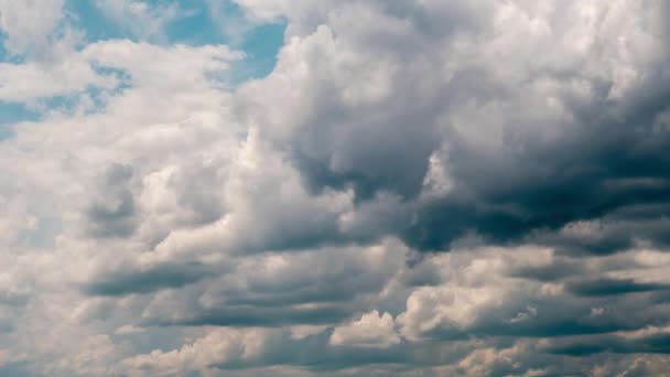 積雲の時間経過は 青空に移動します 光の雲は雲の空間で形を変える 素晴らしい空だ 劇的な雰囲気の背景 時間の経過 コピースペース 天候の変化 — ストック動画