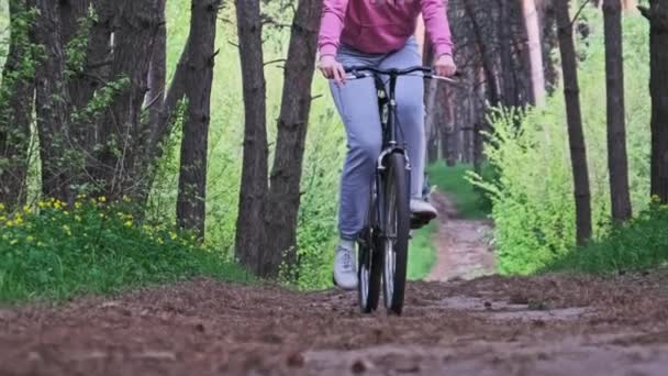 Giovane Donna Bicicletta Lungo Sentiero Forestale Nella Giornata Estiva Rallentatore — Video Stock