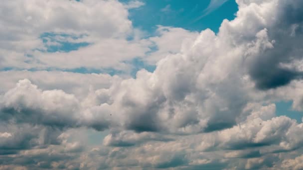 Timelapse Nubes Cúmulos Moviéndose Cielo Azul Las Nubes Luz Cambian — Vídeos de Stock