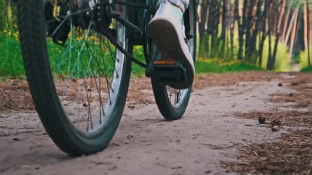 Donna Bicicletta Sentiero Forestale Tra Alberi Verdi Parco Campagna Giovane — Video Stock