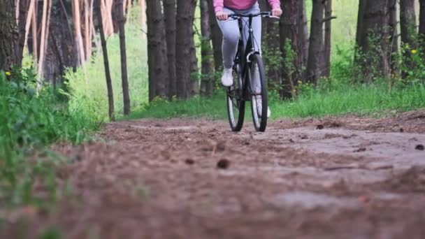 Жінка Велосипеді Їде Лісовій Стежці Між Зеленими Деревами Сільському Парку — стокове відео