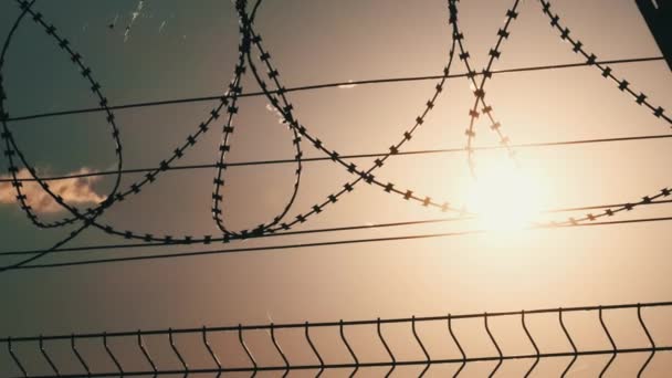 Razor Wire Fence Sunset Setting Sun Shines Barbed Wire Top — Stock Video
