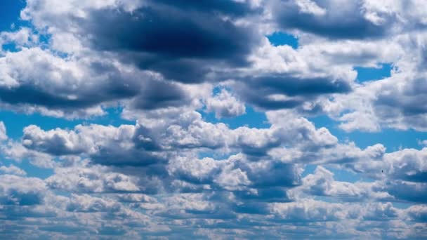 Timelapse Nuvens Cumulus Movendo Céu Azul Nuvens Camadas Claras Mudam — Vídeo de Stock