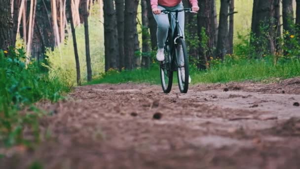 Giovane Donna Bicicletta Lungo Sentiero Forestale Nella Giornata Estiva Rallentatore — Video Stock
