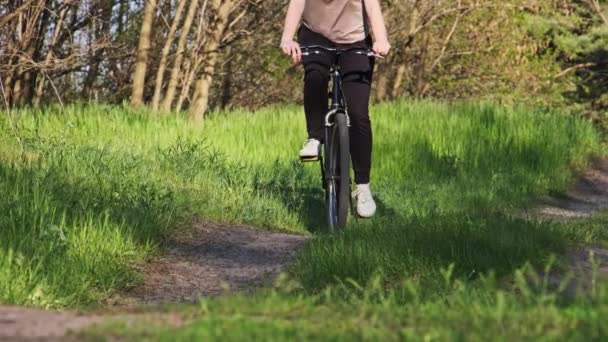 Kobieta Rowerze Jeździ Leśną Ścieżką Zielonym Lesie Słoneczny Letni Dzień — Wideo stockowe