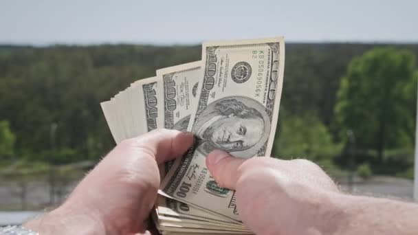 男性の手は緑の自然を背景にファンのような古いドル札を示しています 100ドル札をたくさん持っている若い男の手 米国の銀行券の山屋外 利益の概念 紙幣の節約 — ストック動画