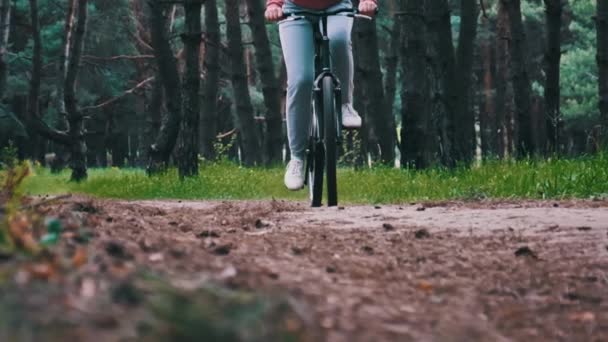 Kobieta Rowerze Jeżdżąca Leśną Ścieżką Pomiędzy Zielonymi Drzewami Wiejskim Parku — Wideo stockowe