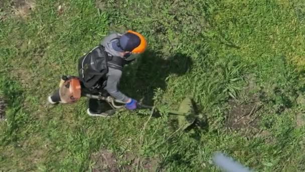 人类用手动汽油割草机在慢动作中割草 用割草机修剪草坪的过程 对公用事业工人的最高评价是修剪青草 照料工具的园艺 — 图库视频影像