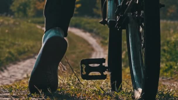 Young Woman Bicycle Rides Green Forest Path Sunny Summer Day — Video Stock