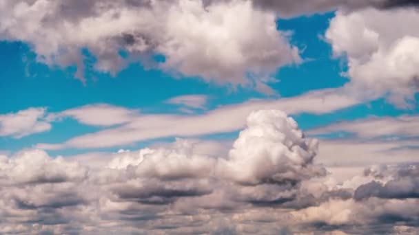 Timelapse Cumulus Clouds Moving Blue Sky Light Clouds Change Shape — Stock Video