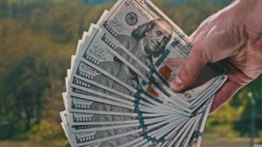 Erkek eller, yeşil doğanın arka planına karşı bir yelpaze gibi yeni dolarları gösteriyor. Genç adam elinde bir sürü 100 dolarlık banknot tutuyor. Açık hava banknotları yığını. Kâr kavramı, kağıt para biriktirme