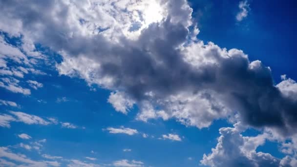 Timelapse Cumulus Chmury Porusza Się Pod Słońcem Błękitnym Niebie Chmury — Wideo stockowe