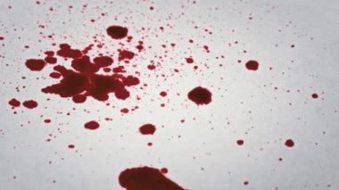 Kırmızı Kan Beyaz Kağıda Damlıyor, Macro Shot. Kan damlaları kağıt dokusuna karışır. Kırmızı mürekkep kağıda damlıyor. Gore beyaz bir yüzeye sıçrıyor. Kan lekeleri beyaz arkaplanda görünüyor.