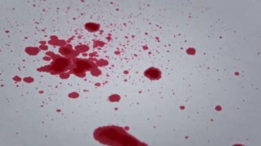 Makrodaki beyaz kağıda kan damlaları düşer. Kırmızı kan beyaz kağıda karışır. Kağıda kırmızı mürekkep damlatıyor. Gore beyaz bir yüzeye sıçrıyor. Kan lekeleri beyaz arka planda görünüyor. Yakın plan.