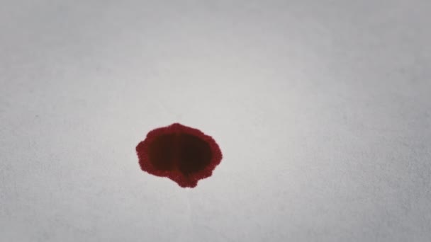 Bluttropfen Fallen Auf Weißes Papier Makro Rotes Blut Wird Das — Stockvideo