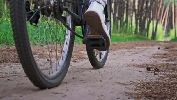 Donna Bicicletta Sentiero Forestale Tra Alberi Verdi Parco Campagna Giovane — Video Stock