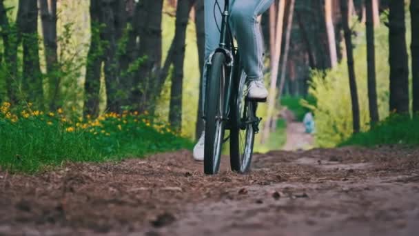 Ung Kvinna Cykel Rider Längs Skogsstig Sommardagen Slow Motion Kvinna — Stockvideo