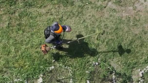 Der Mensch Mäht Das Gras Mit Einem Manuellen Benzin Rasenmäher — Stockvideo