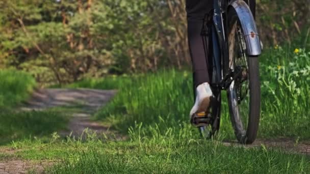 Женщина Велосипеде Едет Вдоль Лесной Тропы Зеленый Лес Солнечный Летний — стоковое видео