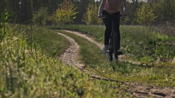 Jovem Mulher Passeio Bicicleta Longo Caminho Floresta Verde Dia Ensolarado — Vídeo de Stock