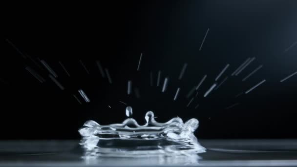 Wassertropfen Fallen Zeitlupe Auf Die Wasseroberfläche Auf Schwarzem Hintergrund Makroaufnahme — Stockvideo