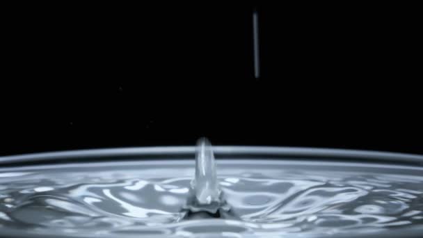 水滴以慢动作落在水面上的黑色背景 宏观拍摄 击中水面后 形成了分叉圆圈 液体表面张力的影响 240 Fps — 图库视频影像