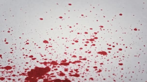 Капли Крови Падают Белую Бумагу Макро Красная Кровь Впитывается Белую — стоковое видео