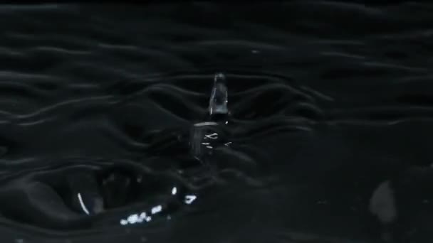 Many Drops Water Fall Surface Water Slow Motion Macro Shot — Stockvideo