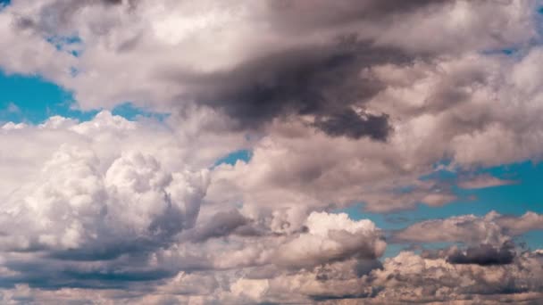 Timelapse Chmur Cumulus Poruszających Się Niebieskim Niebie Puszyste Chmury Zmieniają — Wideo stockowe