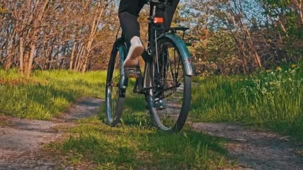 Жінка Велосипеді Їде Лісовій Стежці Зеленому Лісі Сонячний Літній День — стокове відео