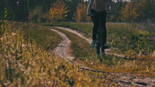 Молодая Женщина Велосипеде Едет Вдоль Зеленой Лесной Тропы Солнечный Летний — стоковое видео