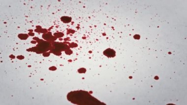 Makrodaki beyaz kağıda kan damlaları düşer. Kırmızı kan beyaz kağıda karışır. Kağıda kırmızı mürekkep damlatıyor. Gore beyaz bir yüzeye sıçrıyor. Kan lekeleri beyaz arka planda görünüyor. Yakın plan.