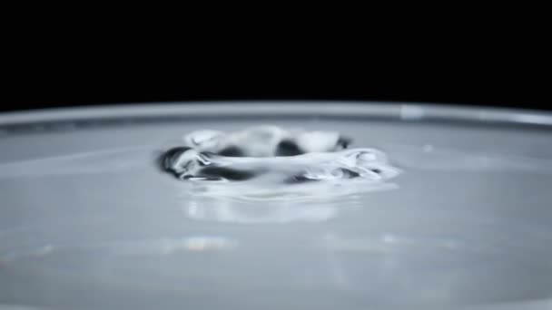 Krople Wody Spadają Powierzchnię Wody Zwolnionym Tempie Super Makro Shot — Wideo stockowe