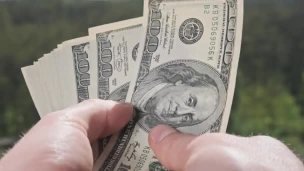 在绿色自然的背景下 男性的手就像扇子一样展示着老式的美元钞票 年轻人的手拿着很多100美元的钞票 美国钞票堆在室外 利润概念 节省纸币 — 图库视频影像
