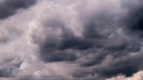 Zeitraffer Von Kumuluswolken Die Sich Blauen Himmel Bewegen Flauschige Wolken — Stockvideo