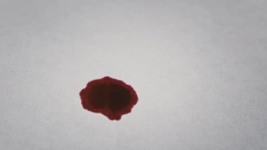 Makrodaki beyaz kağıda kan damlaları düşer. Kırmızı kan beyaz kağıda karışır. Kağıda kırmızı mürekkep damlatıyor. Gore beyaz bir yüzeye sıçrıyor. Kan lekeleri beyaz arka planda görünüyor. Yakın plan.