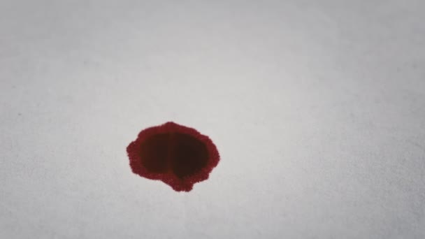 Drops Blood Fall White Paper Macro Red Blood Absorbed White — Vídeos de Stock