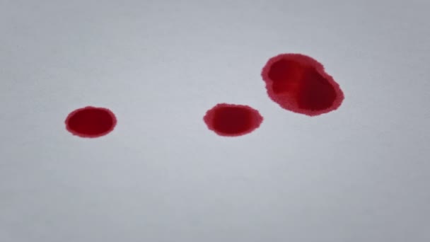 Makrodaki Beyaz Kağıda Kan Damlaları Düşer Kırmızı Kan Beyaz Kağıda — Stok video
