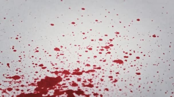Red Blood Drips White Paper Macro Shot Inglês Gotas Sangue — Vídeo de Stock